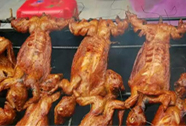 摇滚烤兔子培训