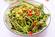 泡蕨菜培训