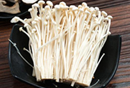 菌类处理